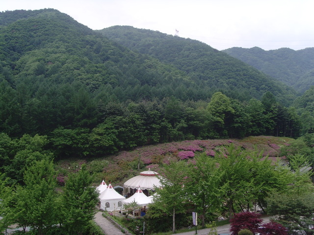 뜨락칼국수 이미지