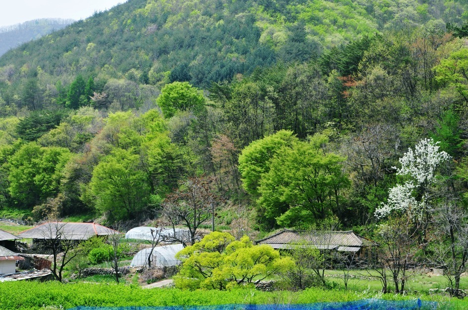 당신의인생사진 이미지