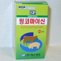 링코서 이미지