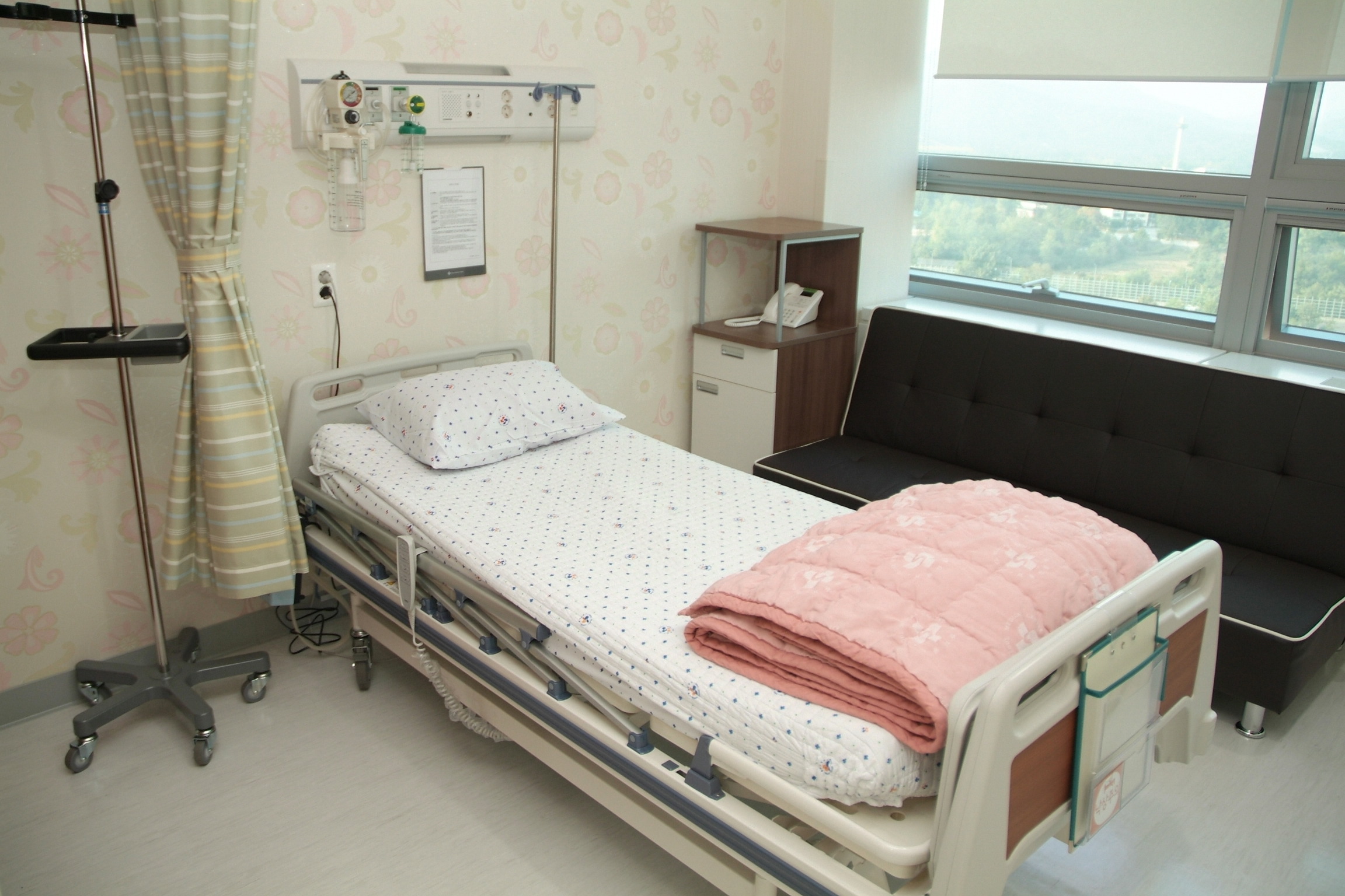말기암 투병중인 가족이 자신을 죽여달라고 당신에게 호소한다면? 살인한다vs못한다 | 인스티즈