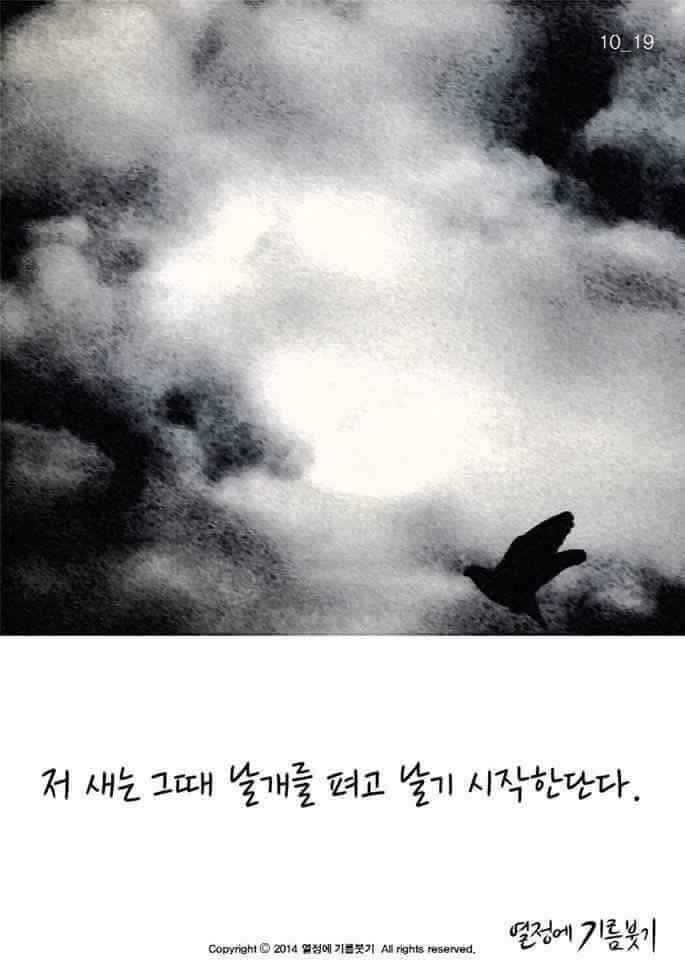 날개가 너무 커서 날지 못하는 새 | 인스티즈