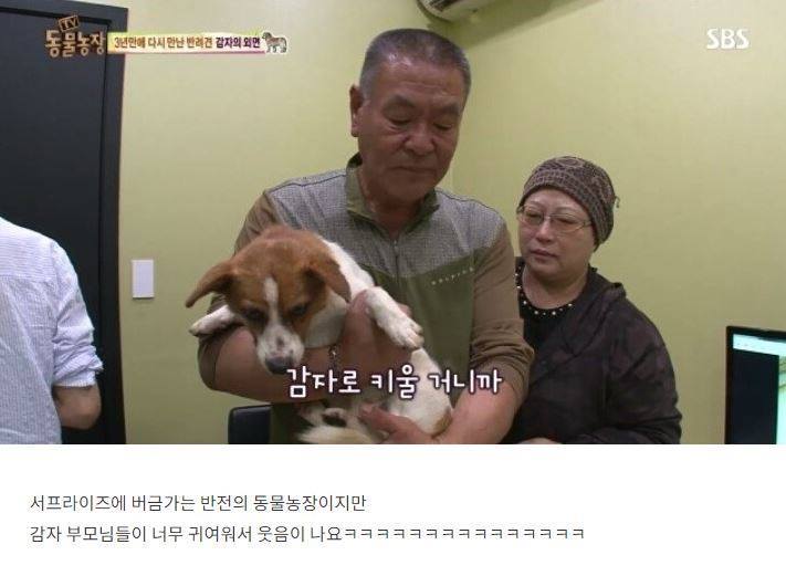 잃어버린 개를 3년만에 찾은 아저씨 | 인스티즈