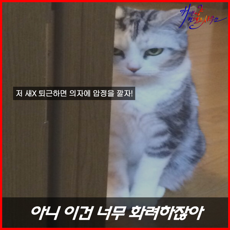 디자이너들이 가장 듣기 싫은 말말말!? | 인스티즈