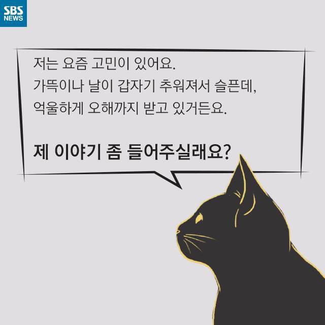 길 고양이가 뚱뚱한 이유..jpg | 인스티즈