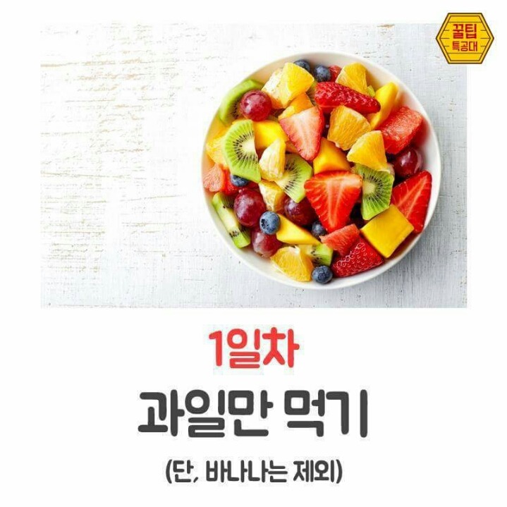7Days 7kg GM 다이어트 | 인스티즈