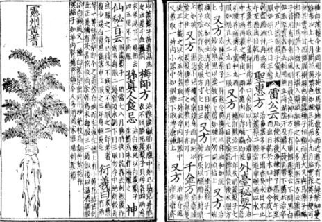 중국 역사에서 가장 최약체로 평가받는 왕조.jpg | 인스티즈