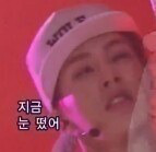 팬 아닌데 저장하는 짤들2 | 인스티즈