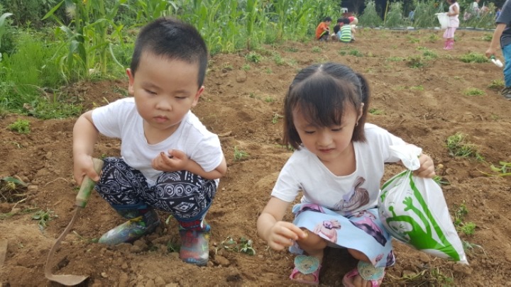 큐리어스 어린이집 이미지
