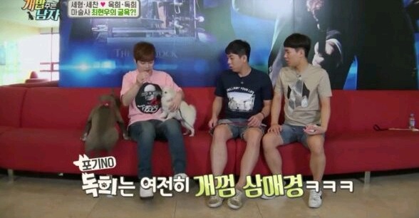 최현우 마술로 동물현혹 | 인스티즈