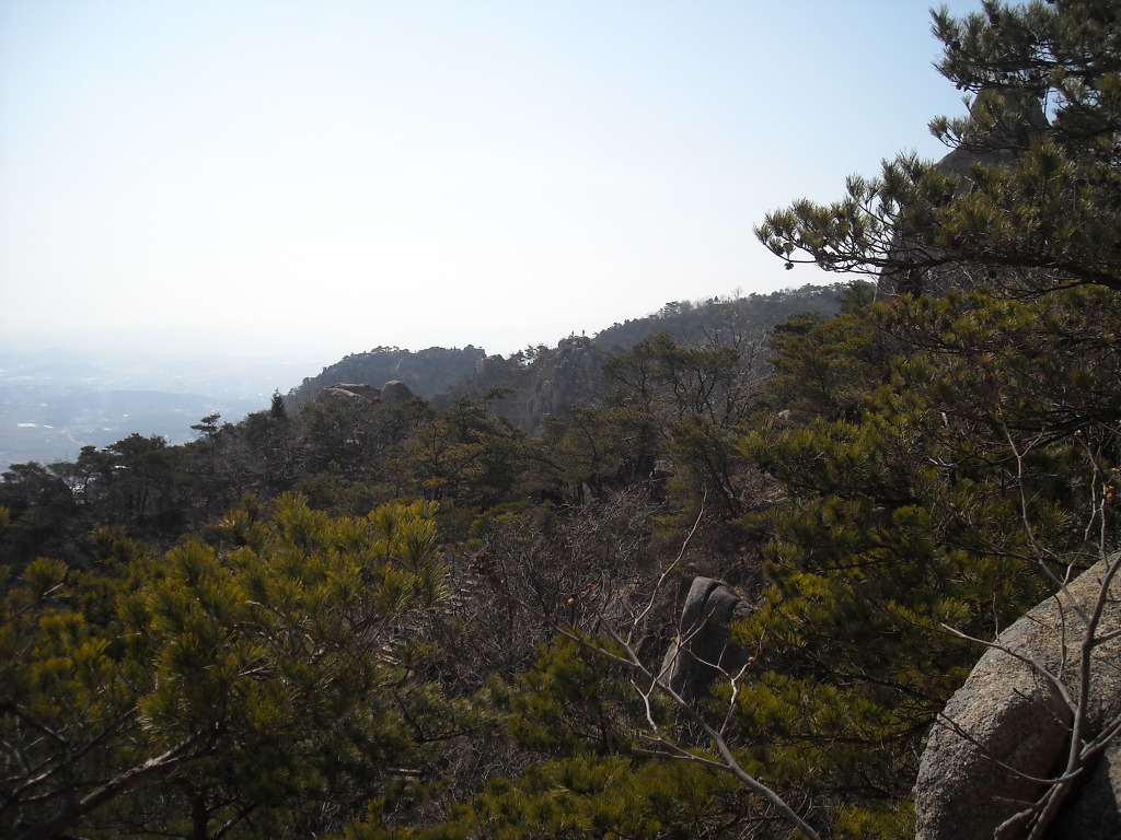 인천수산업협동조합 이미지