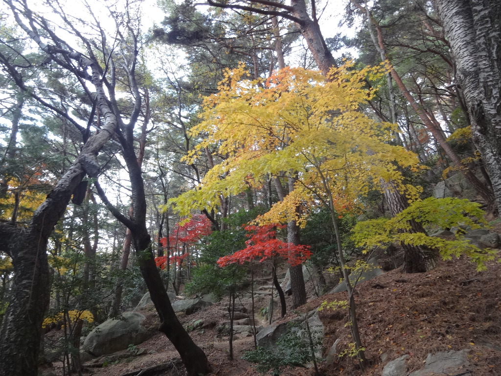 금강원 이미지