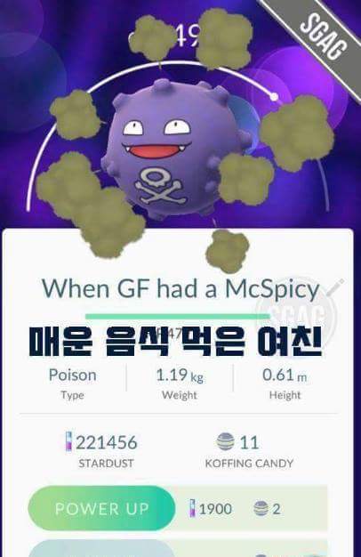 천조국의 흔한 포켓몬고 작명.jpg | 인스티즈