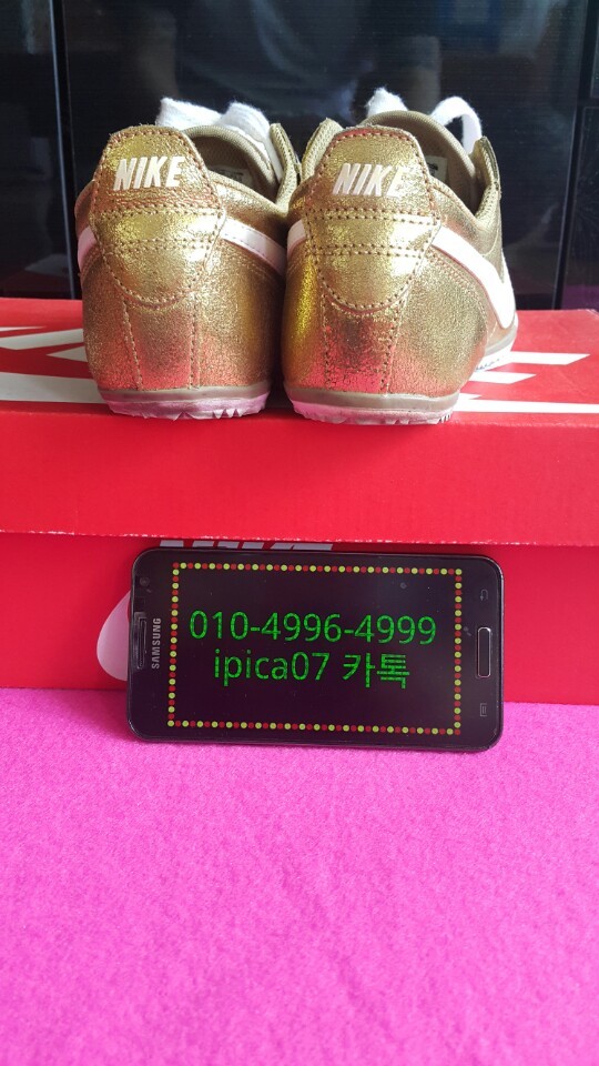 골드파이브 이미지