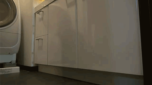 기다리면 나옵니다.gif | 인스티즈