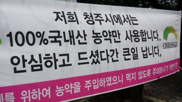 청주시의 현수막 | 인스티즈