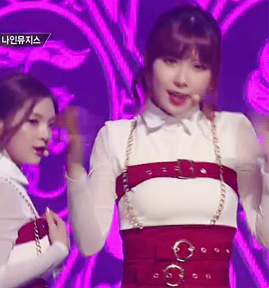 뭐야 이 털뭉치는? | 인스티즈