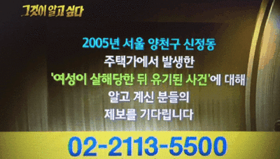  2015년 인터넷 핫이슈 결산 | 인스티즈