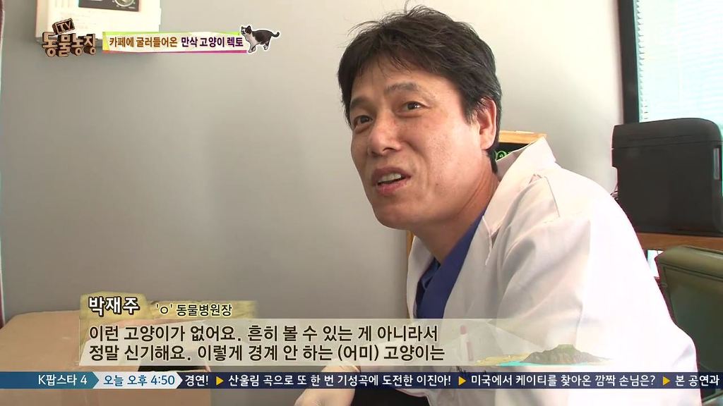 동물농장 [카페에굴러들어온고양이렉토] | 인스티즈