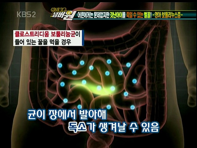 1살 미만 아이에겐 꿀을 절대 먹이면 안된다? | 인스티즈