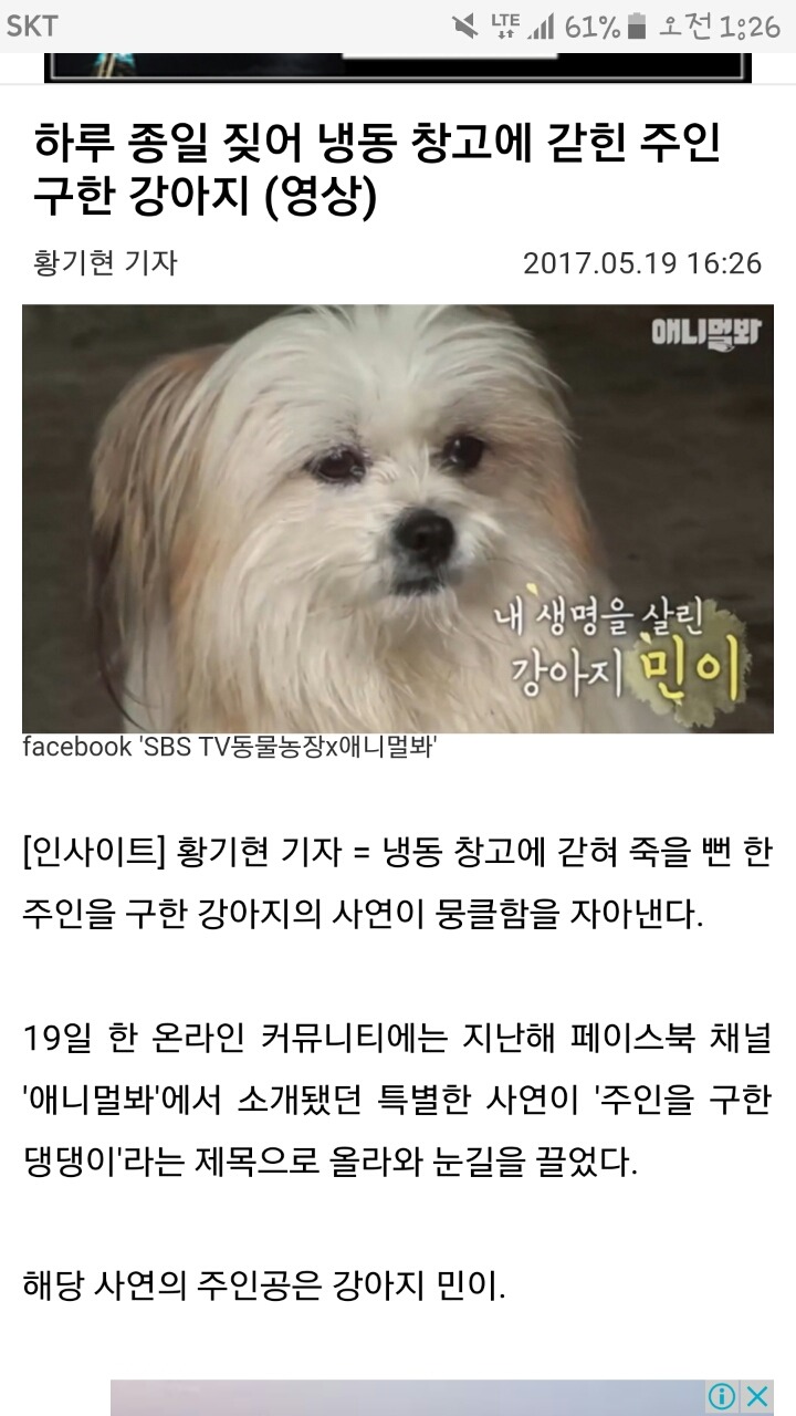 하루 종일 짖어 냉동 창고에 갇힌 주인 구한 강아지 | 인스티즈