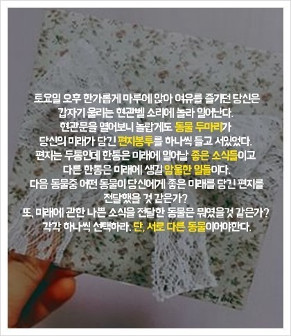 동물이 건네주는 편지로 알아보는 심리 테스트 | 인스티즈