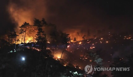 진화했다던 강릉산불, 강풍 속 되살아나 | 인스티즈