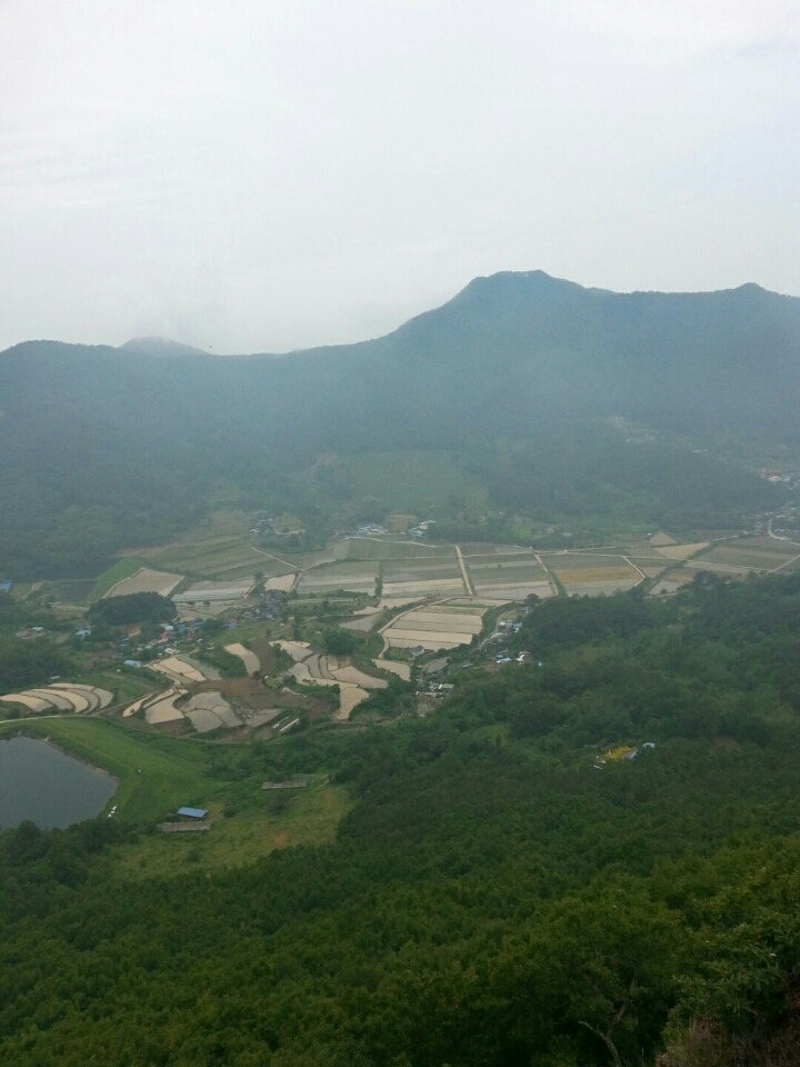 상디미 이미지