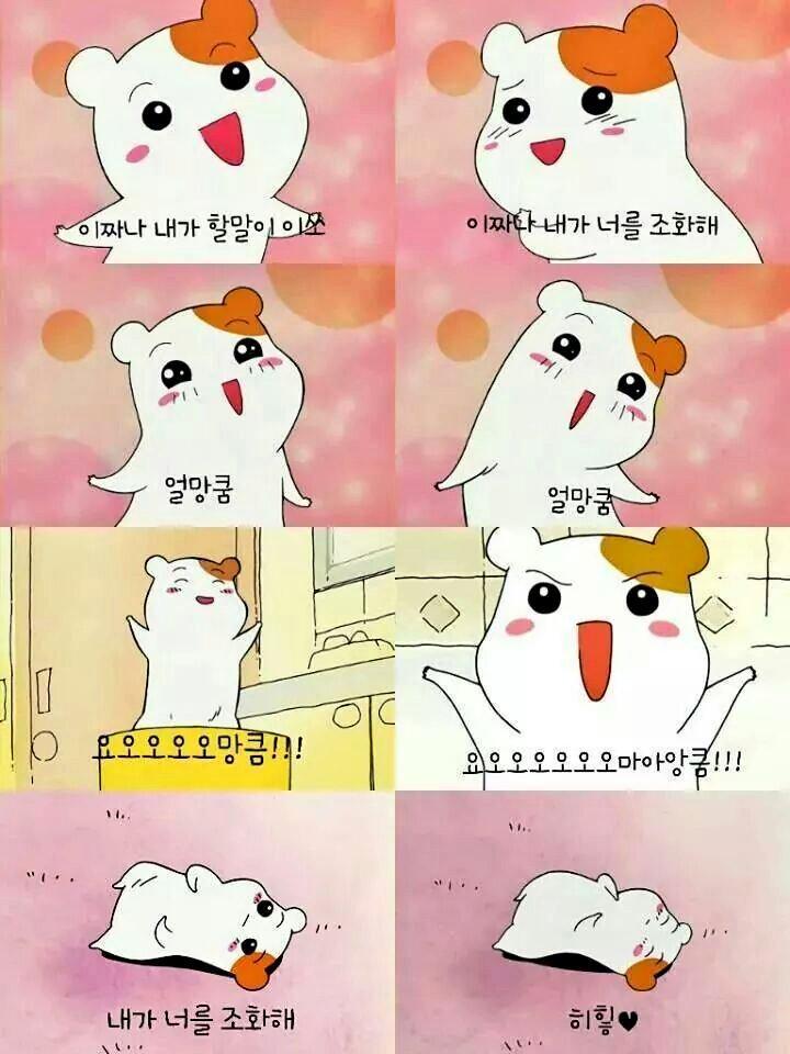 이** 이미지