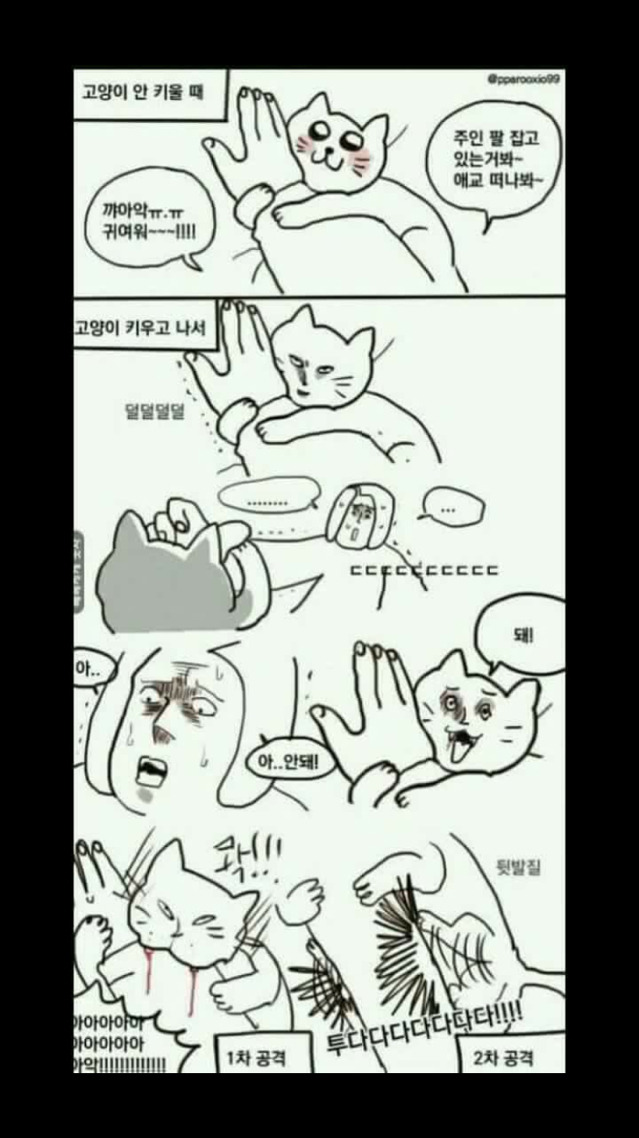 고양이 집사 300% 공감 | 인스티즈
