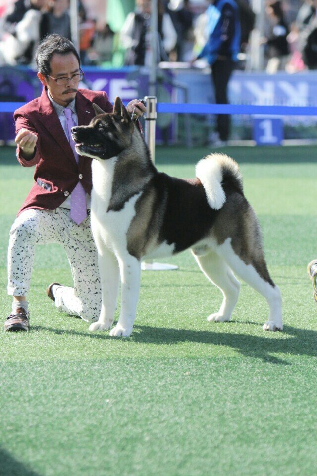 바우 이미지