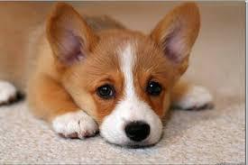 이미 사망한 회원의 글입니다 | 인스티즈