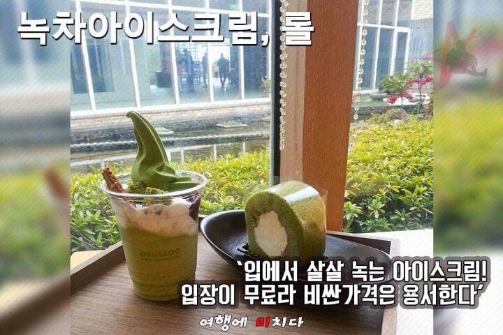 제주도 먹방 여행 | 인스티즈
