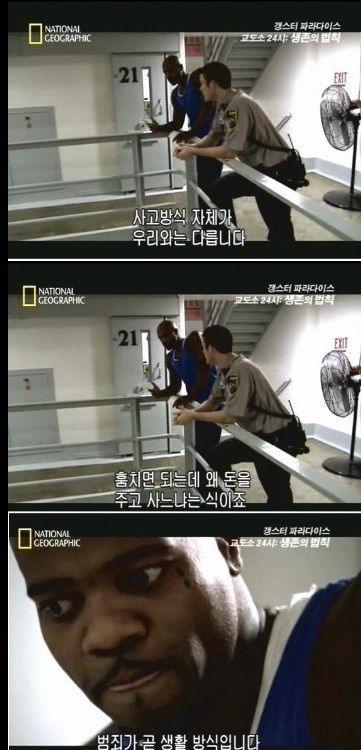 스팀같은데서 게임 왜 사는거야?.jpg | 인스티즈