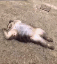 들것이 안들것이 됨.gif | 인스티즈