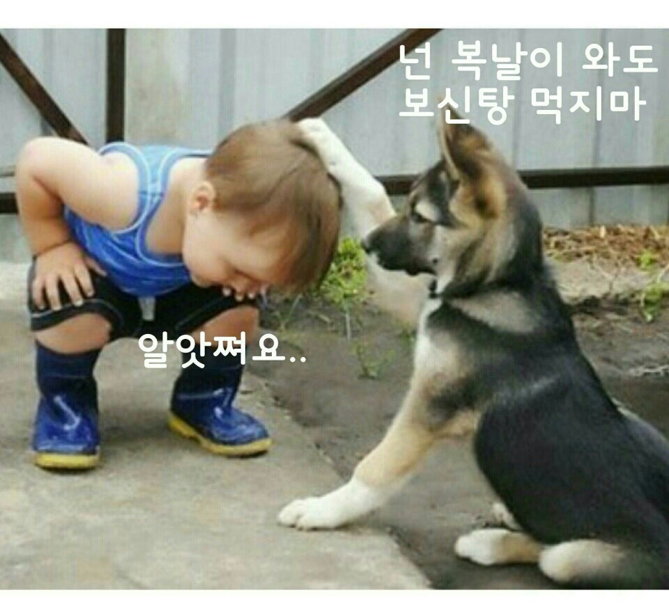 좋은소리 이미지