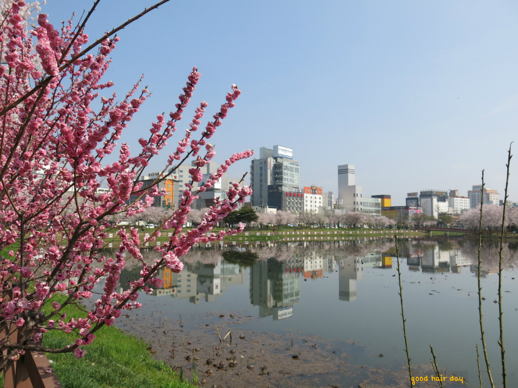 광신고등학교 이미지