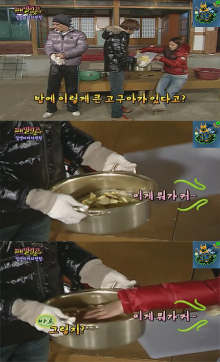 유재석 대성이 형제고 유재석 이효리가 남매이던 시절.gif | 인스티즈