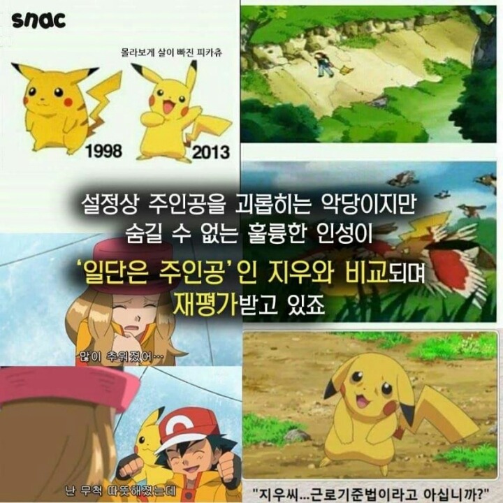 포켓몬의 진짜 주인공 | 인스티즈