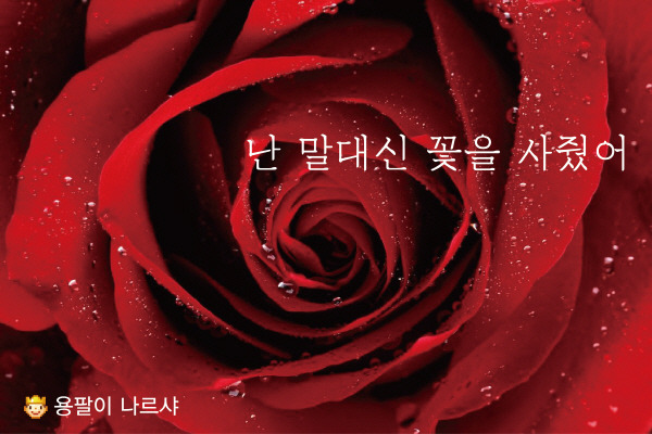 우유들이 사랑해 대신 전해줄 수 있는 그 한마디 | 인스티즈