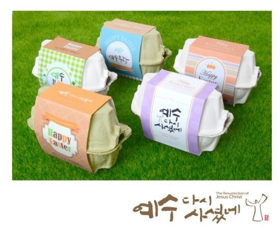 케이스박사2 이미지