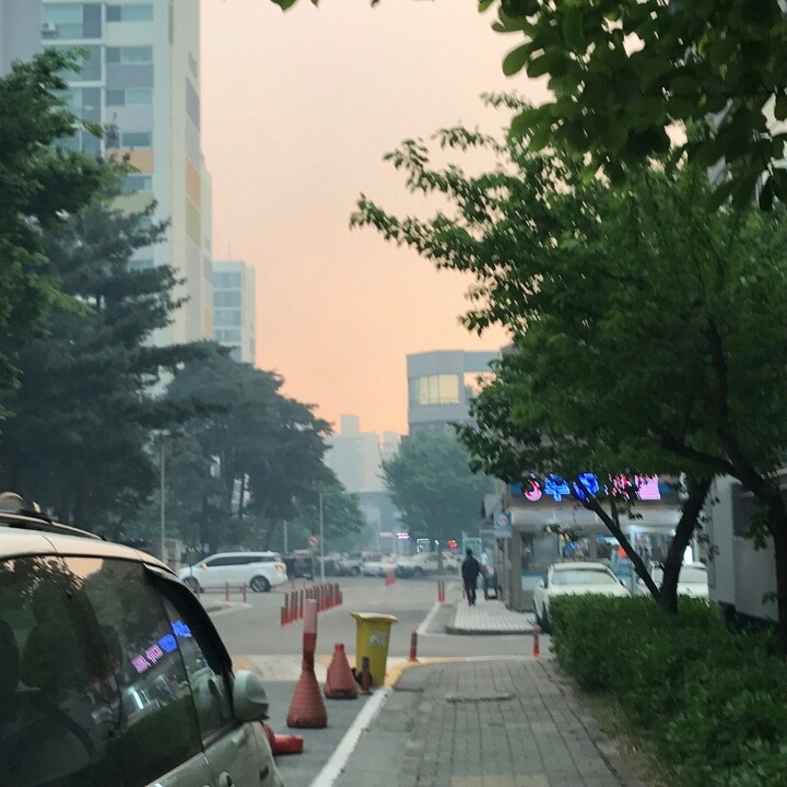 강릉 산불 상황 | 인스티즈