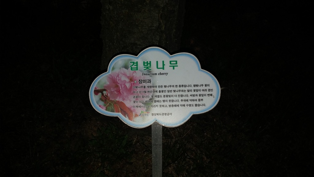 힐런 이미지