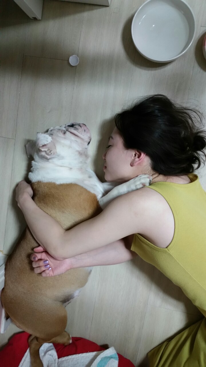보미사 이미지