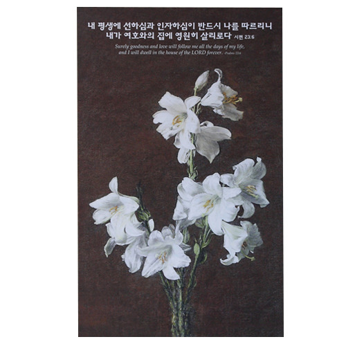 샤론 이미지