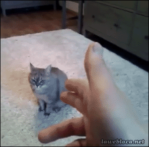 [움짤] 에휴 또 시작이네 .GIF | 인스티즈