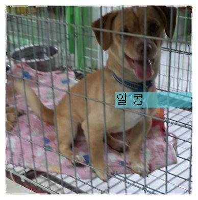 달콩커피 이미지