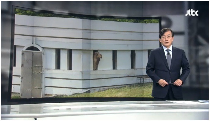 오늘자 손석희의 앵커브리핑 "밖은 영하 10도, 청와대는 영상 10도".jpg | 인스티즈