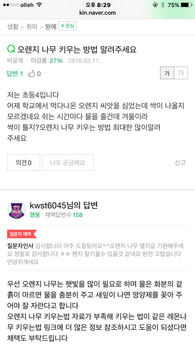 오렌지 나무 키우는 방법 알려주세요 | 인스티즈