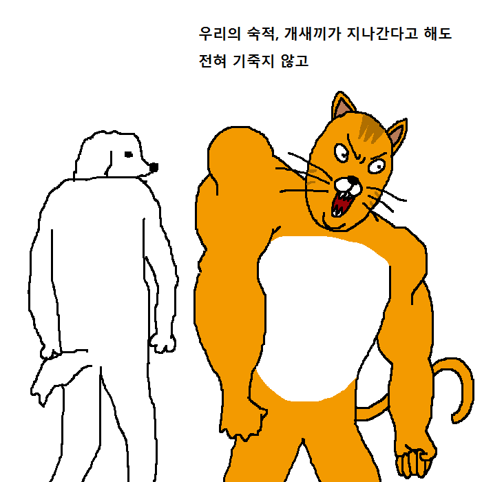 상남자 고양이의 아들 교육법 | 인스티즈