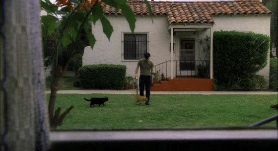 고양이 좋아하는 남자 좋아해요? | 인스티즈